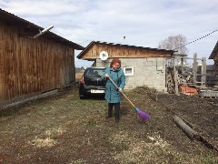 �����������